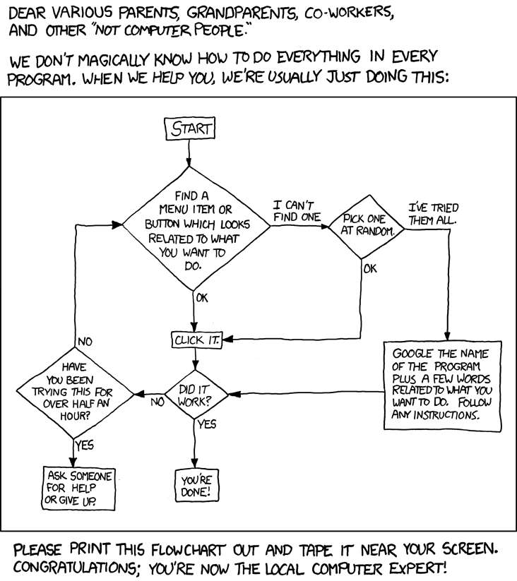 Computer expert flowchart